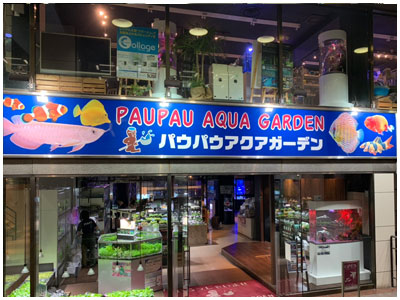 銀座店情報 熱帯魚パウパウアクアガーデン